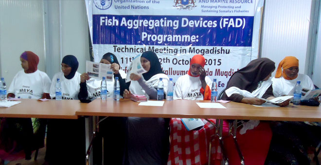 Fish Aggregating Devices (FAD) Programme